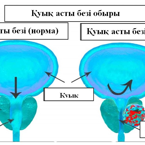 Сіздің Kitty жеке жазбаңыз